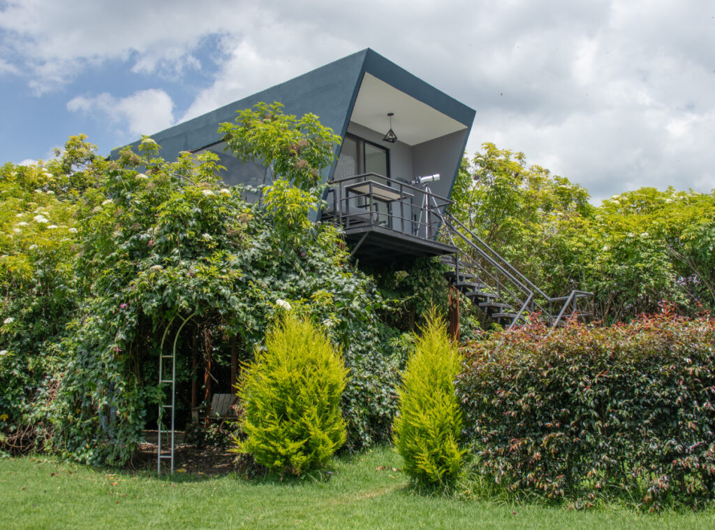 Casa-Arbol