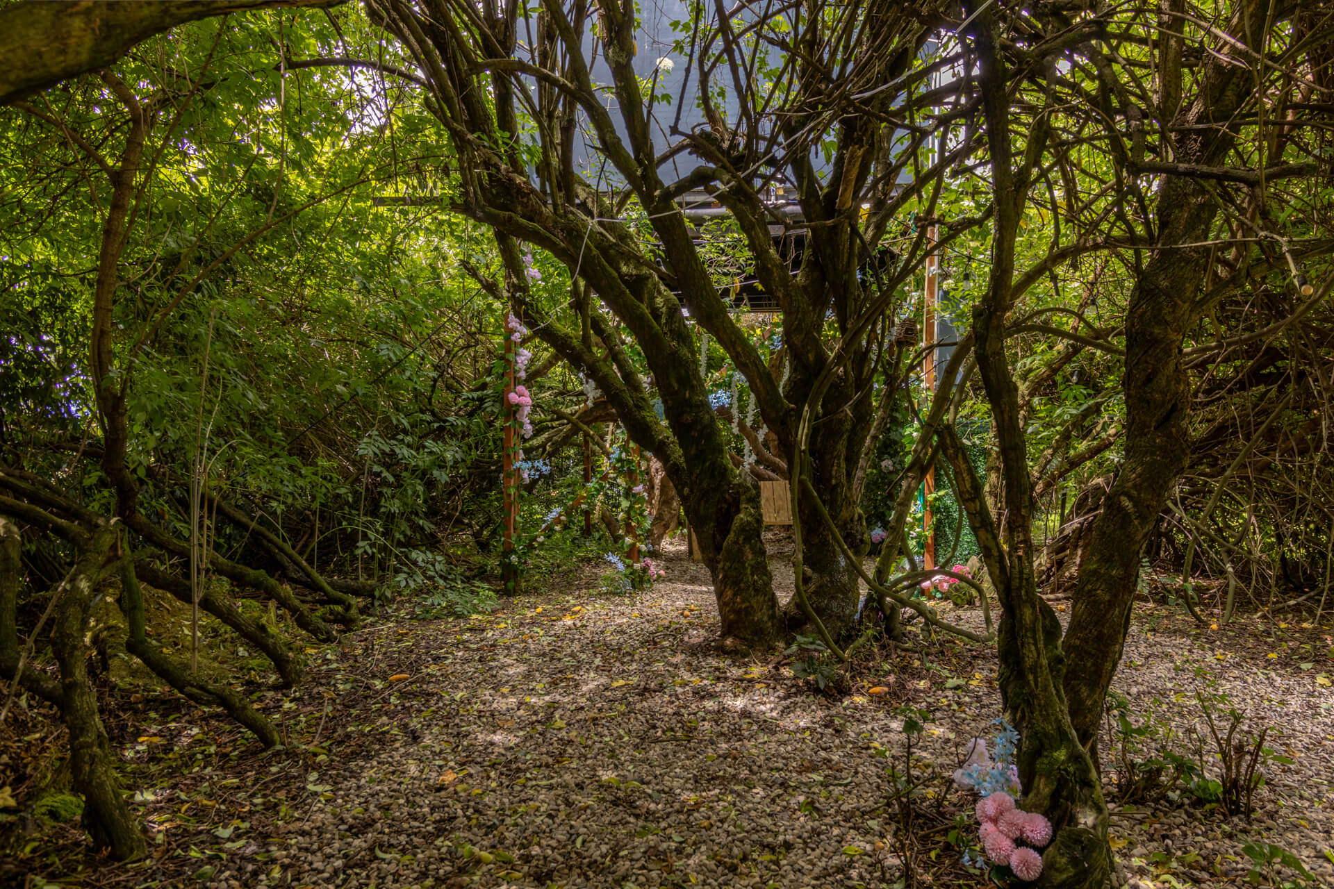 _MG_5556-HDR